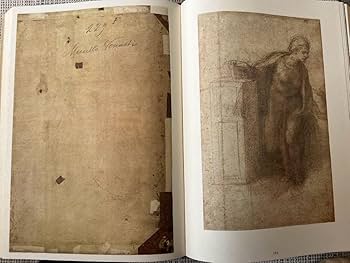 Amazon.co.jp: 貴重 ミケランジェロ素描全集 第1～4巻 全巻セット 大型