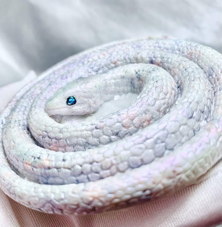 Amazon.co.jp: 白蛇様オルゴナイト : ホーム＆キッチン