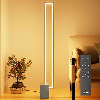 61nnJAE8UaL._AC_UF350,