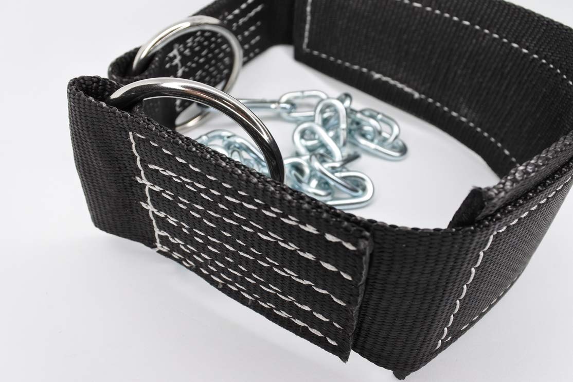 Amazon | ROGUE(ローグ)ディップス ベルト ディップ ディッピング 荷重