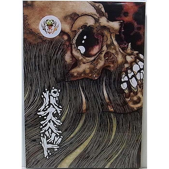 Amazon.co.jp: パスヘッド画集 HYPERSTOIC OPTIC BLISTER pushead