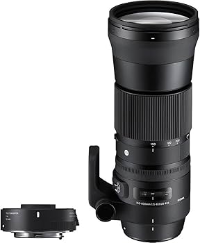 Amazon.co.jp: シグマ(Sigma) レンズ 150-600mm F5-6.3 DG OS HSM