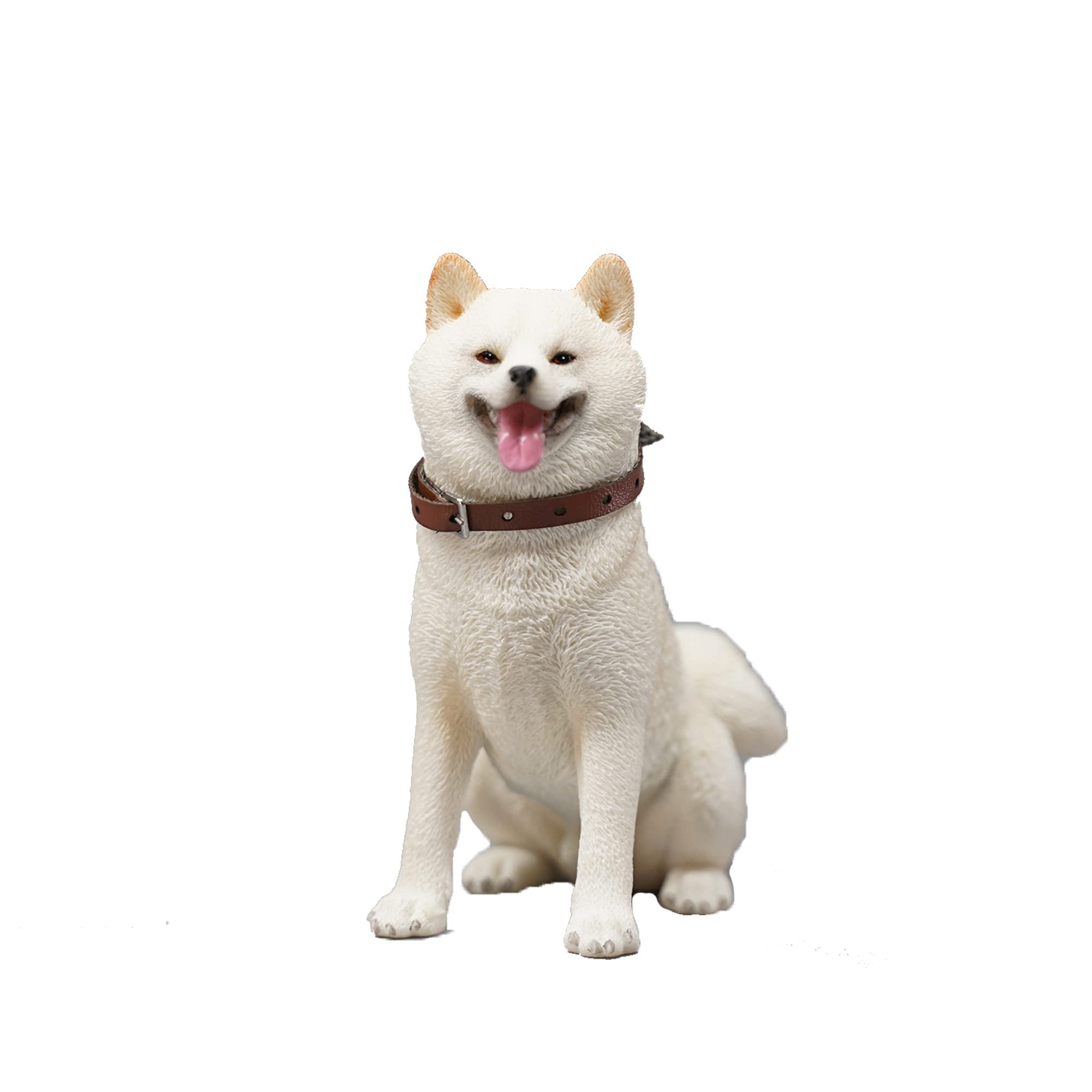 Amazon.co.jp: JXK お座り白柴 置物 キュートな顔 レジン製