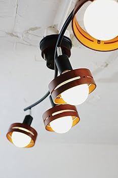 Amazon | インターフォルム シーリングライト LT-5271BK アーチェ