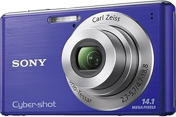 Amazon.com : Sony Cyber-Shot DSC-W530 14.1 MP Digital Still Camera
