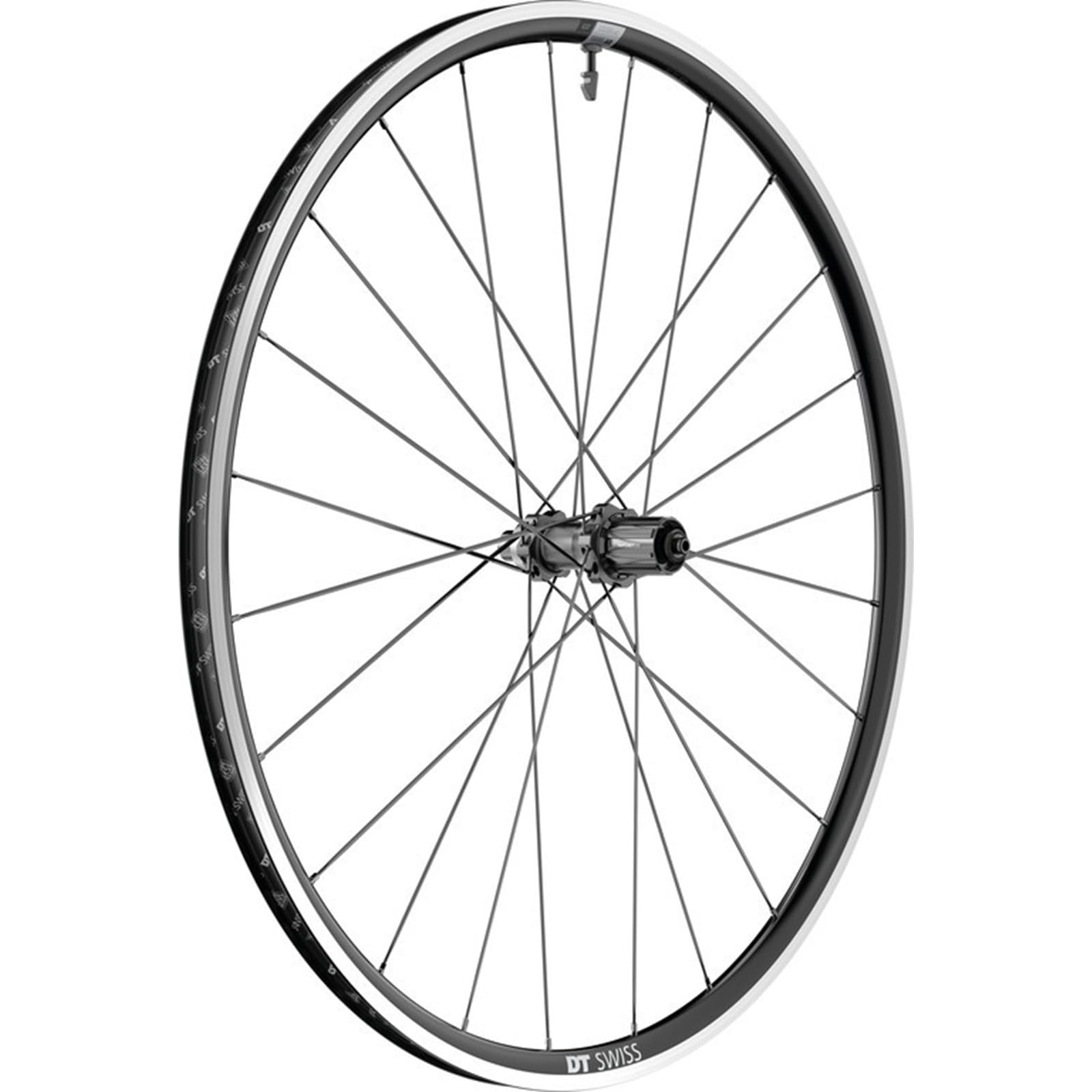 Amazon.com : DT Swiss P 1800 Spline 700c Rear : Sports & Outdoors