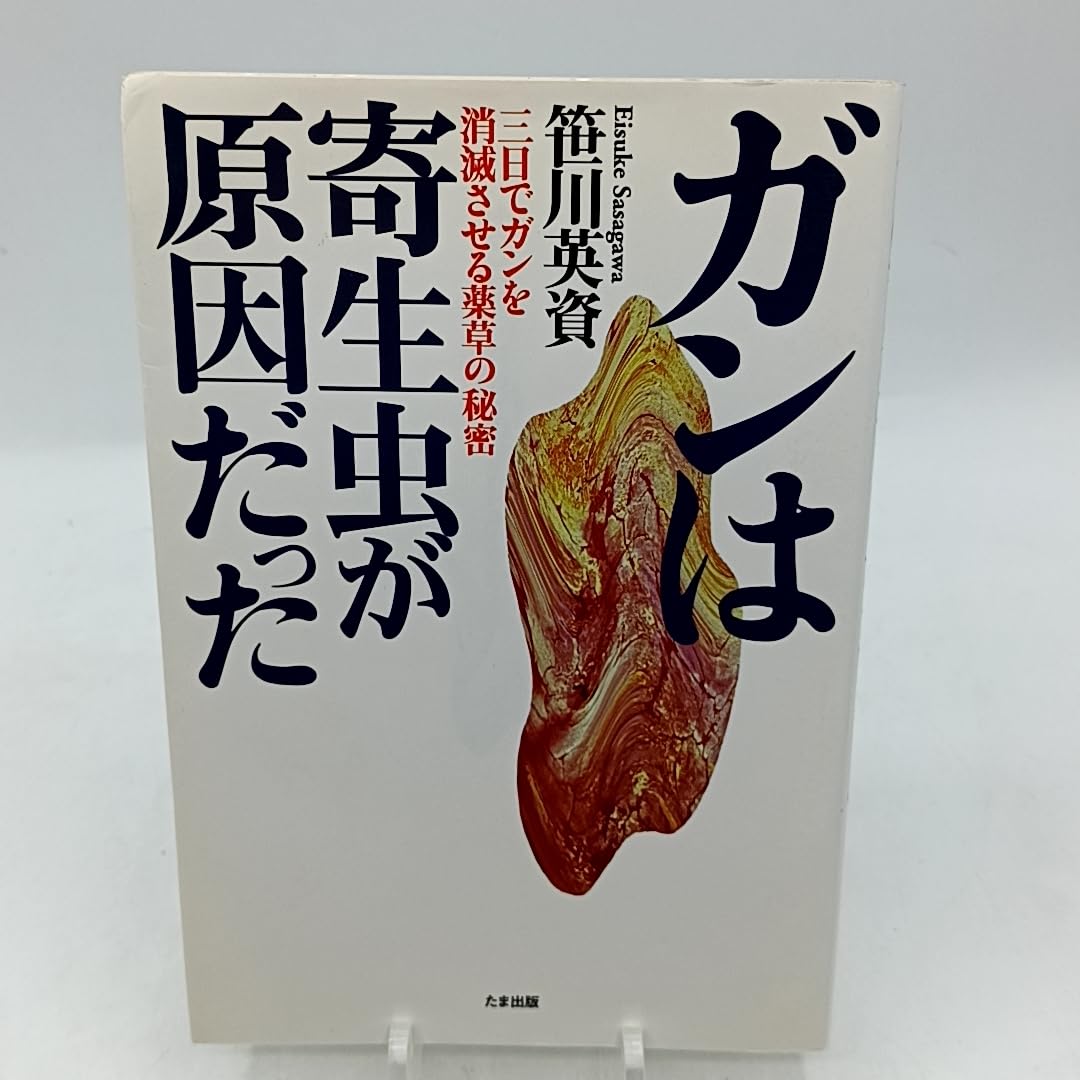 超権力グローバル・ゲーム 笹川英資 Amazon.co.jp: 笹川 英資: 本