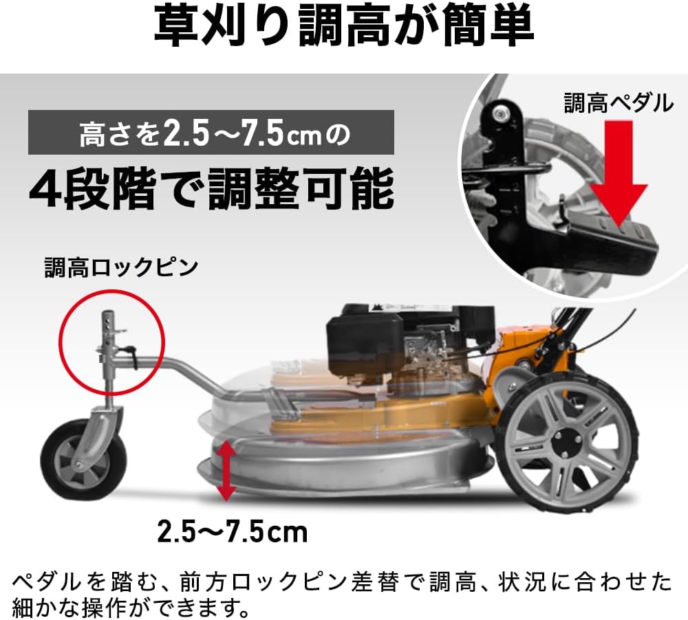 61pYaeSMtML._AC_UF1000,