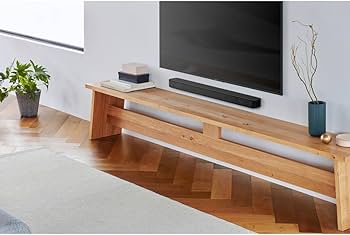 Amazon.com: Sony S100F 2.0ch Soundbar with Bass Reflex Speaker