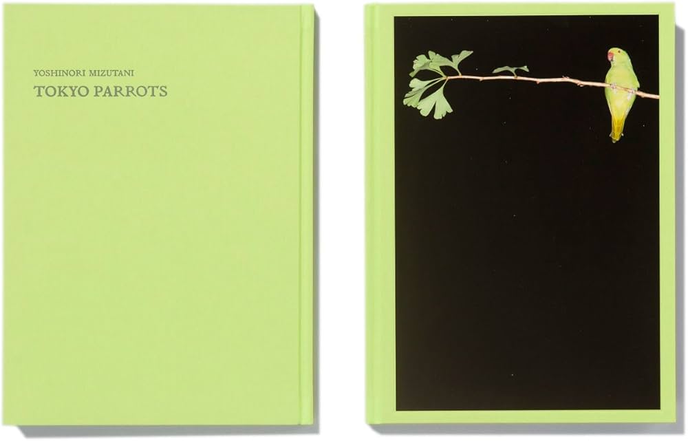 Amazon | TOKYO PARROTS | 水谷吉法, 水谷吉法 | Individual Artists