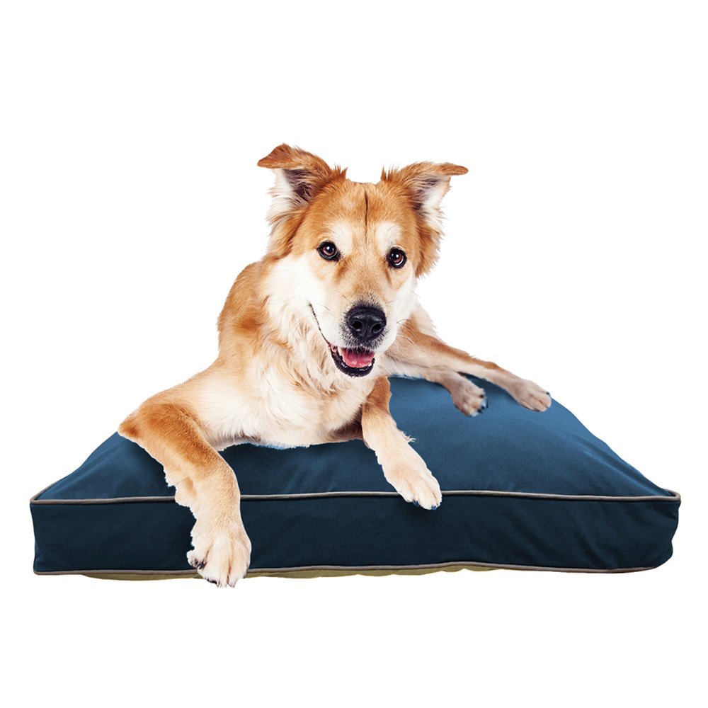 Amazon | Doggybo Midi ドギボー ミディ ネイビーブルー ペッドベッド