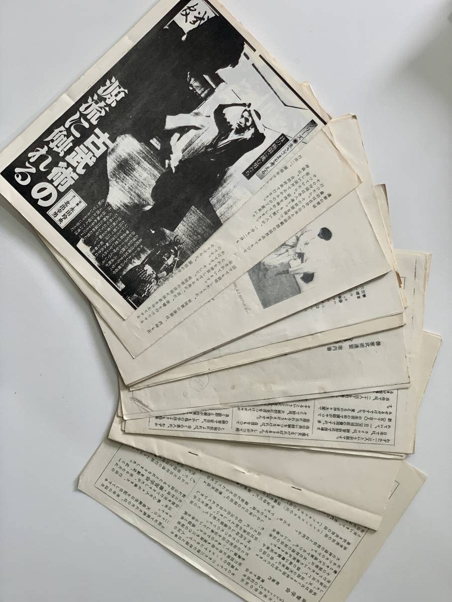 Amazon.co.jp: 堀辺 正史 換骨拳 骨法 : おもちゃ