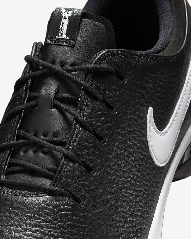 Amazon.co.jp: [ナイキ] 25.5cm エア ズーム ビクトリー ツアー 3