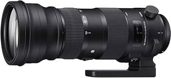 Amazon.com : Sigma 150-600mm 5-6.3 Sports DG OS HSM Lens for Nikon