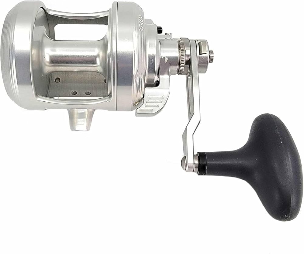 Amazon | 正確なダントレス DX2-500N 2-SPD 従来リール | Accurate