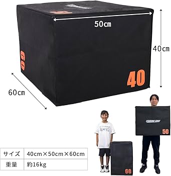 Amazon | [リーディングエッジ] プライオボックス ソフト ハード 40cm