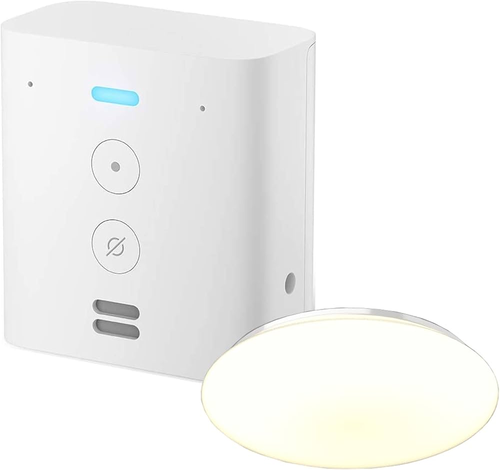 Amazon.co.jp: Echo Flex (エコーフレックス) プラグイン式スマート