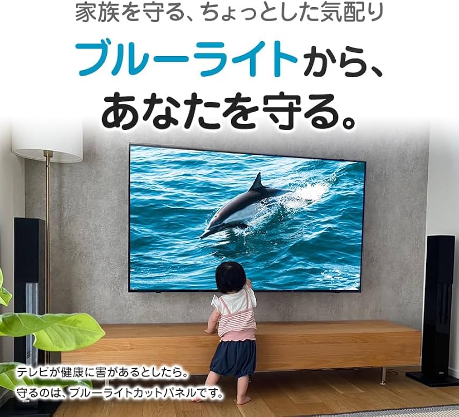 Amazon | MMK ブルーライトカット 液晶テレビ保護パネル 49インチ 対応