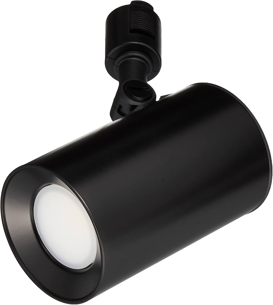 Amazon.co.jp: パナソニック(Panasonic) スポットライト LSEB6116KLE1