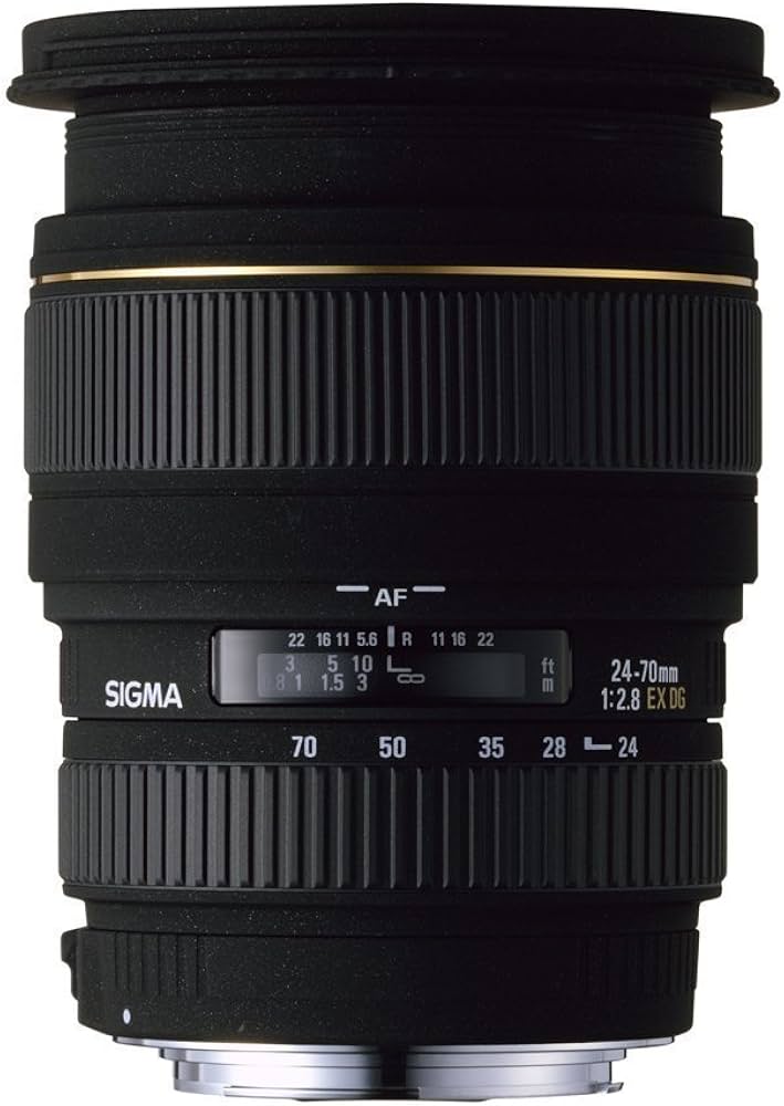 Amazon.co.jp: シグマ 24-70mm F2.8EX DG MACRO ペンタックス用 : 家電