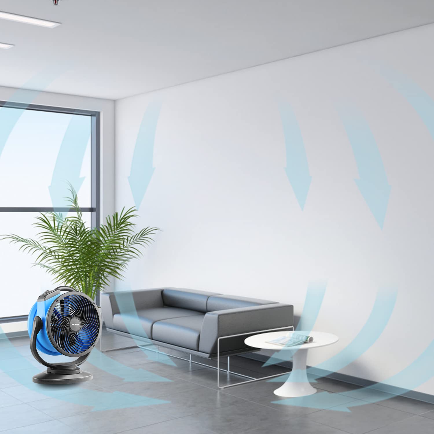 Amazon.co.jp: XPOWER FC-300S 密閉型モーター多機能