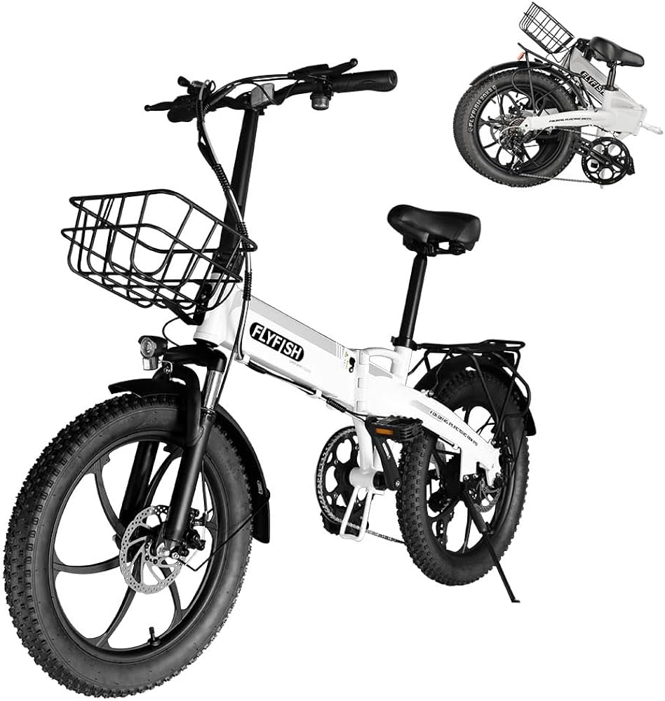 Amazon | 折りたたみ 電動アシスト自転車 FLY FISH 型式認定 ファット