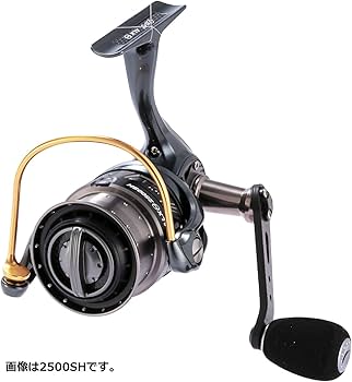 Amazon | AbuGarcia (アブガルシア) Revo ALX THETA 1000S ソルト対応