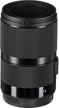 Amazon.co.jp: シグマ 70mm F2.8 DG MACRO Art L ライカL用 : 家電＆カメラ