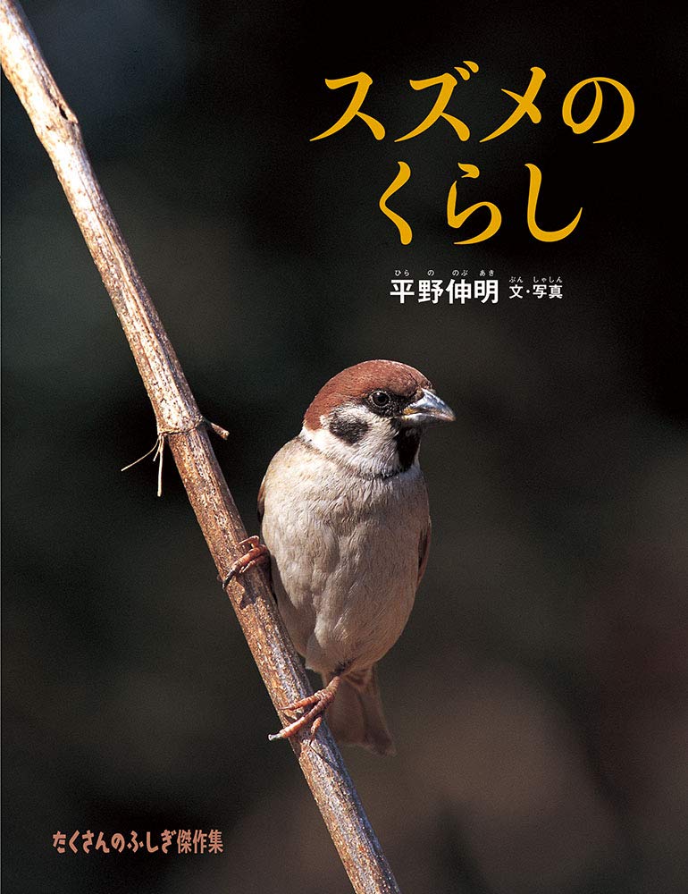 スズメのくらし (たくさんのふしぎ傑作集) | 平野 伸明 |本 | 通販
