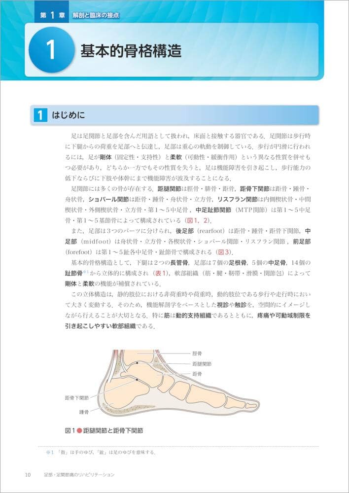 足部・足関節痛のリハビリテーション (痛みの理学療法シリーズ