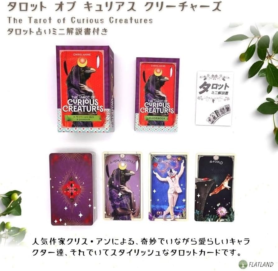Amazon.co.jp: タロット オブ キュリアス クリーチャーズ The Tarot of