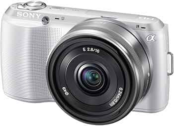 61sz1GjqkCL._AC_UF350,