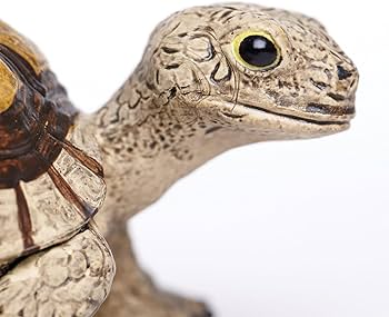 71496Ld3BrL._AC_UF350,