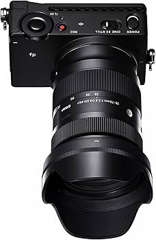 Sigma 28-70mm F/2.8 DG DN Full Frame Lens for Sony E Mount (Mirror