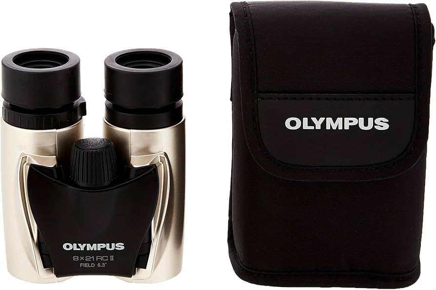 714PCrcw59L._AC_UF894,