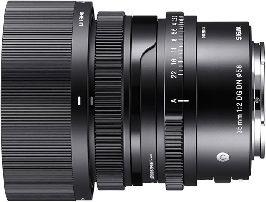 Amazon.com : Sigma 35mm f/2 DG DN Contemporary Lens for Sony E
