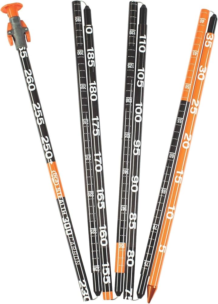 Amazon | バックカントリーアクセスステルス300カーボンアバランシェ