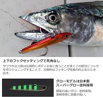 Amazon.co.jp: ダイワ(DAIWA) タングステンジグ TGベイト神掛 80G PH