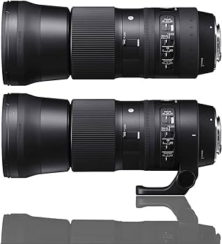 Amazon.co.jp: シグマ(Sigma) レンズ 150-600mm F5-6.3 DG OS HSM