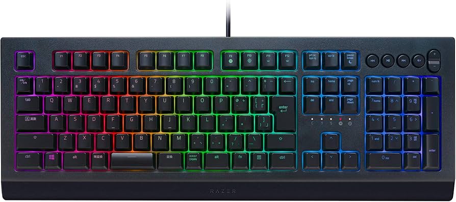 Amazon.co.jp: Razer Cynosa V2 JP ゲーミングキーボード 日本語配列