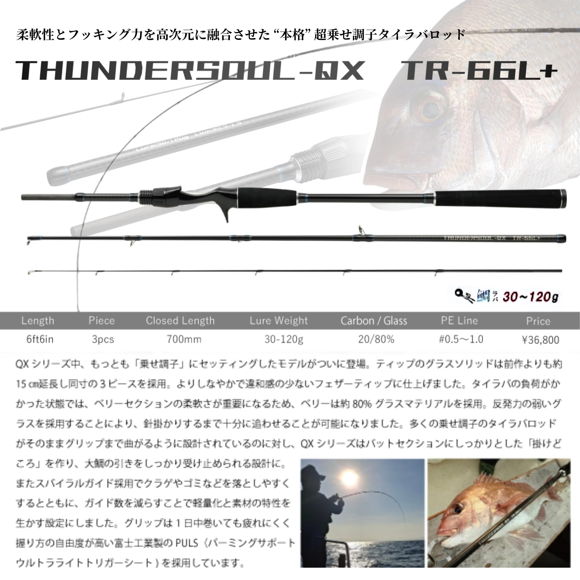 Amazon | 櫻井釣漁具 THUNDERSOUL-QX (サンダーソウル-QX) TR-66L+ R