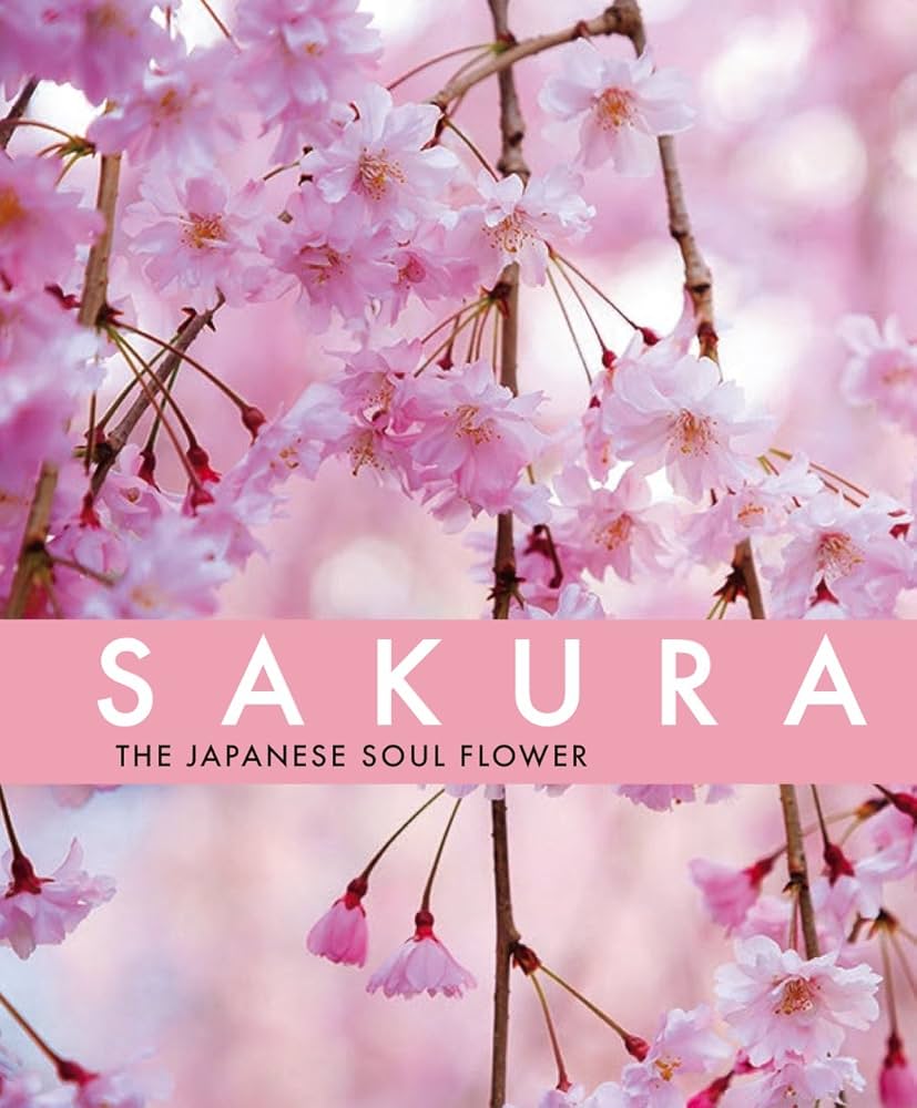 SAKURA The Japanese Soul Flower【桜オールカラー英文日本写真集