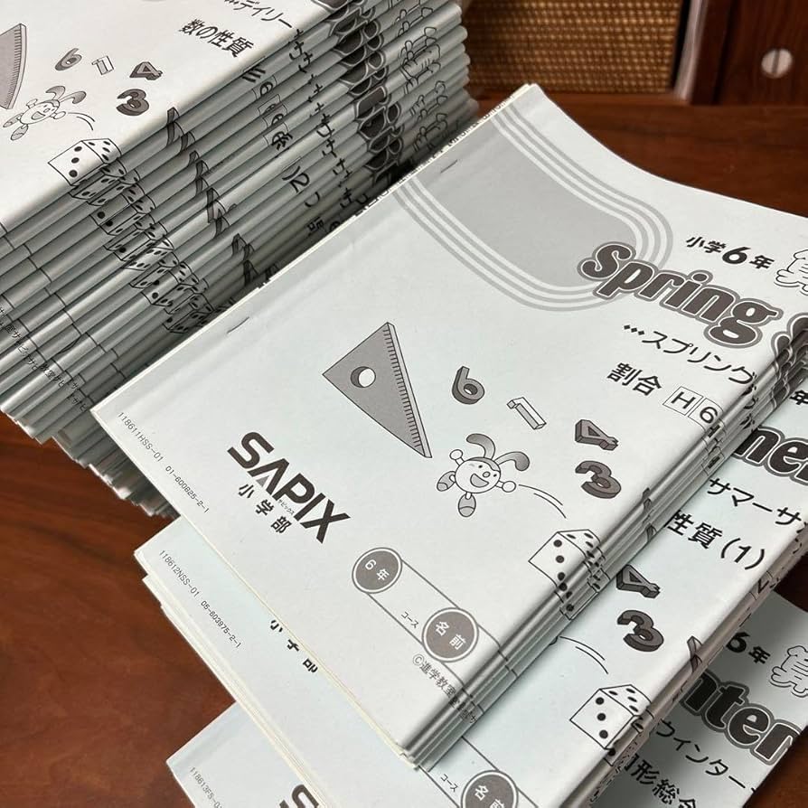 サピックス 小学6年 算数・国語 中学受験】SAPIXの初授業(新小6) 国語