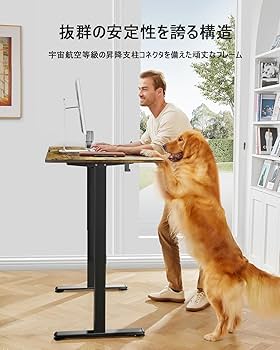 Amazon | ErGear 電動 オフィスワークテーブル 昇降式デスク