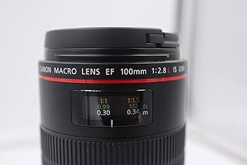 Amazon.com : Canon EF 100mm f/2.8L Is USM Macro Lens for Canon