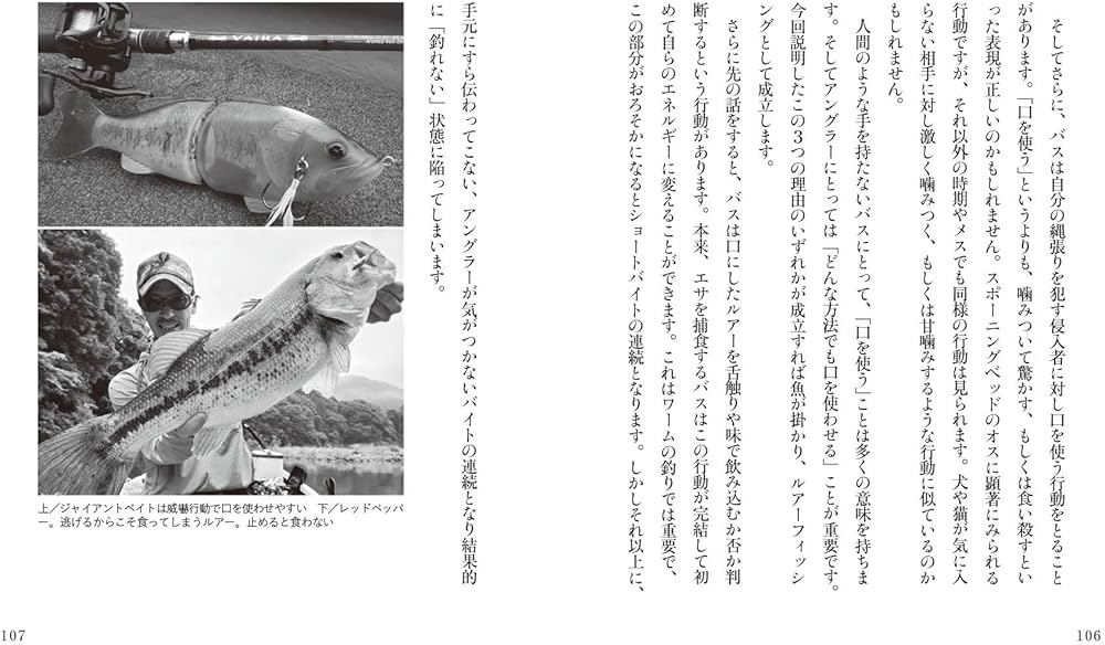 妄想はもういらない 食性から紐解くリアル・バスフィッシング マッチ