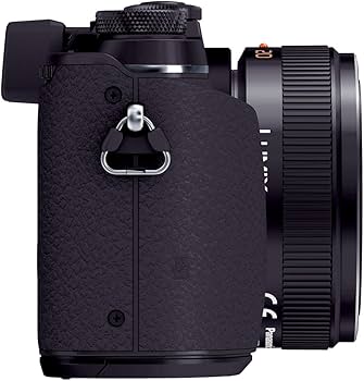 Amazon | パナソニック ミラーレス一眼カメラ ルミックス GX7 レンズ