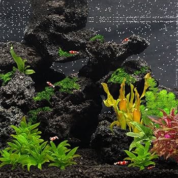 Amazon | 高濾過溶岩 国産中小型溶岩石 3~12cm 35個セット 黒系 60cm