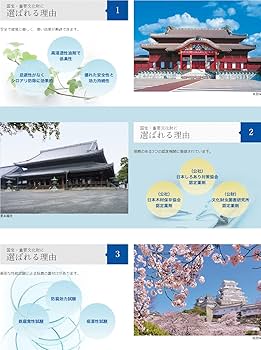 Amazon.co.jp: タケロックMC50スーパー [2L] 白アリ駆除剤 シロアリ