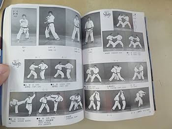 716q4MeYrNL._AC_UF350,